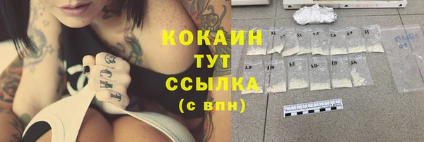 СК Белокуриха