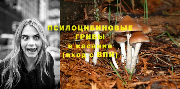 стафф Армянск