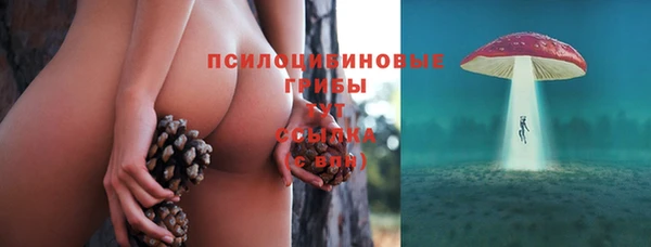 ALPHA PVP Новодвинск